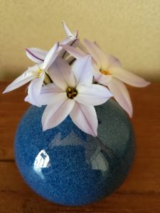 音読に癒される