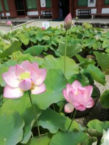 人生が終わる時までにできるようになっていたいもの。